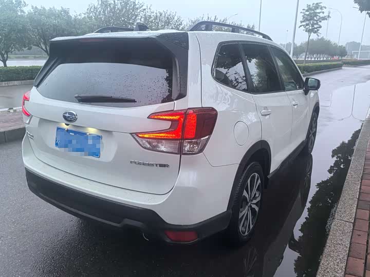 Фото 7 - Subaru Forester