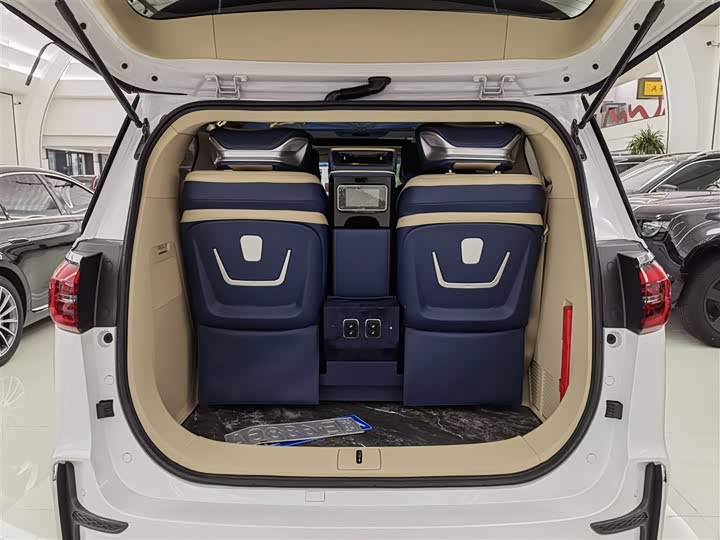 Фото 17 - Buick GL8 ES