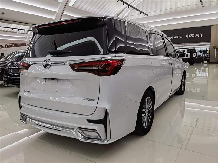 Фото 4 - Buick GL8 ES