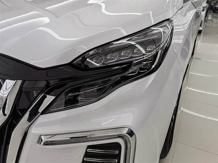 Фото 5 - Buick GL8 ES