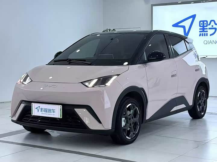 Фото 1 - BYD Seagull