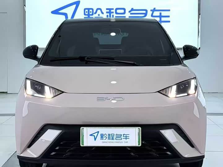 Фото 2 - BYD Seagull