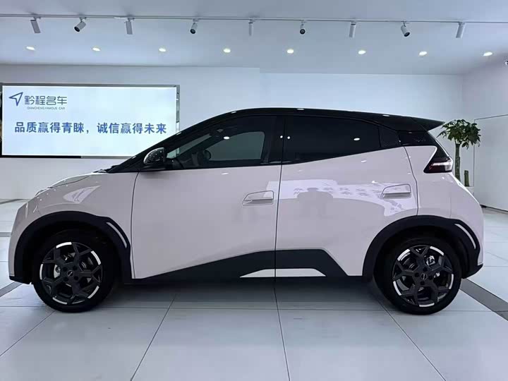 Фото 3 - BYD Seagull