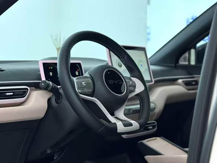 Фото 7 - BYD Seagull