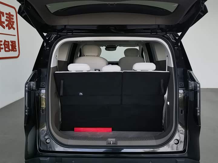 Фото 16 - Maxus Mifa 7