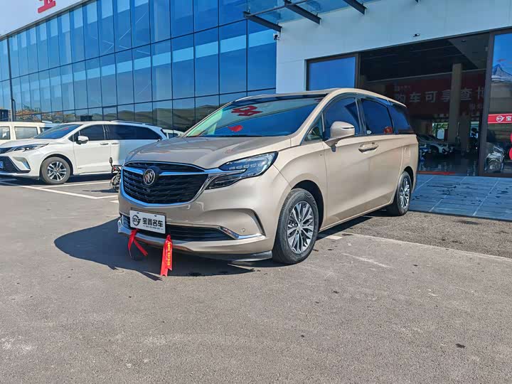 Фото 1 - Buick GL8 ES