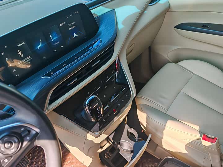 Фото 5 - Buick GL8 ES