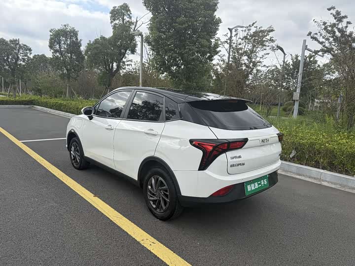 Фото 9 - Hozon V