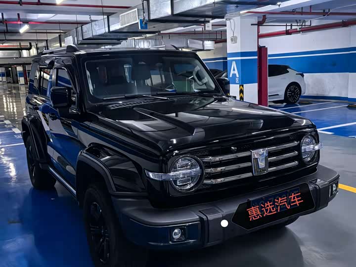 Фото 2 - Tank 300