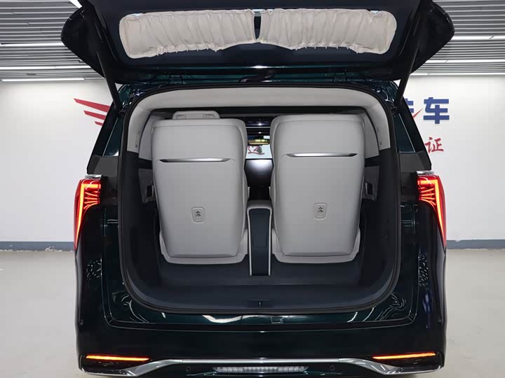 Фото 25 - Buick GL8 Century