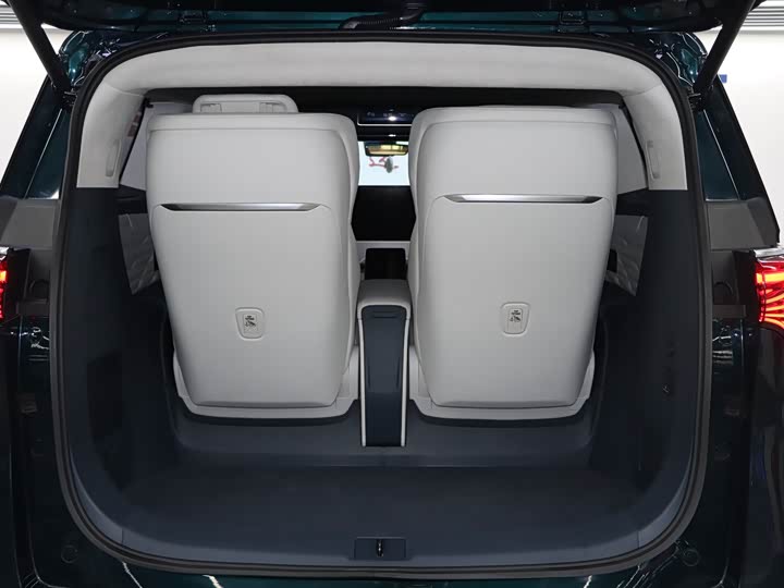 Фото 26 - Buick GL8 Century