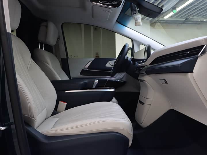 Фото 5 - Buick GL8 Century