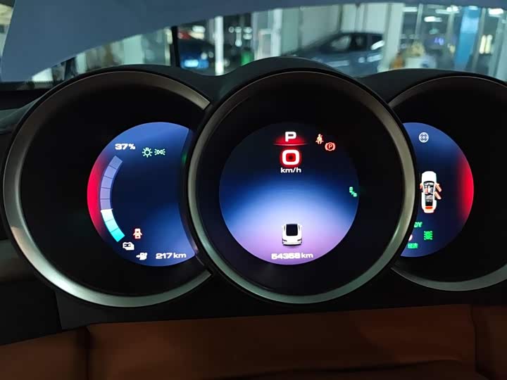 Фото 12 - Ora Lightning Cat (07)