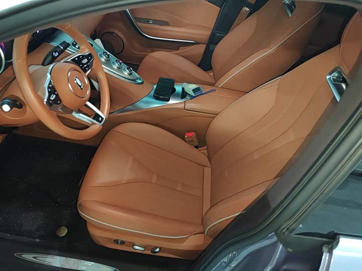 Фото 15 - Ora Lightning Cat (07)