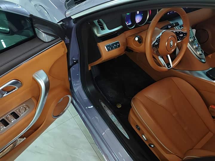 Фото 16 - Ora Lightning Cat (07)