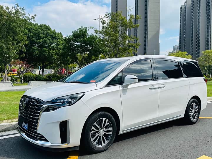 Фото 1 - Buick GL8 ES