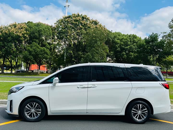 Фото 4 - Buick GL8 ES