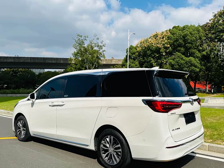 Фото 5 - Buick GL8 ES