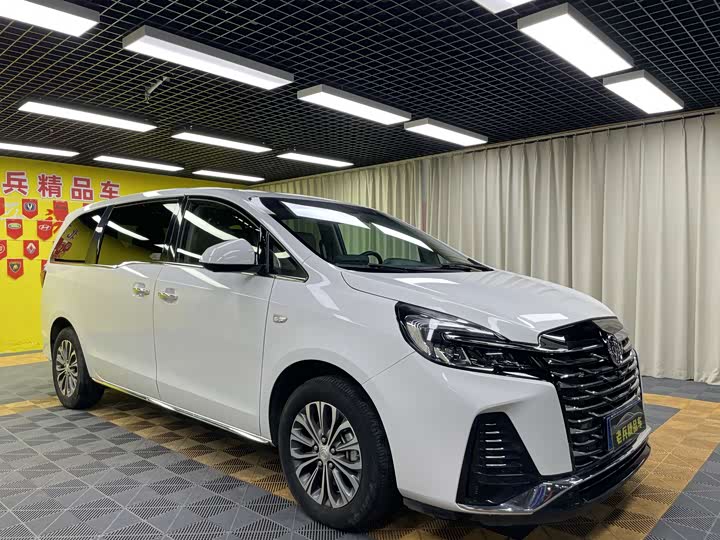 Фото 3 - Buick GL8 ES