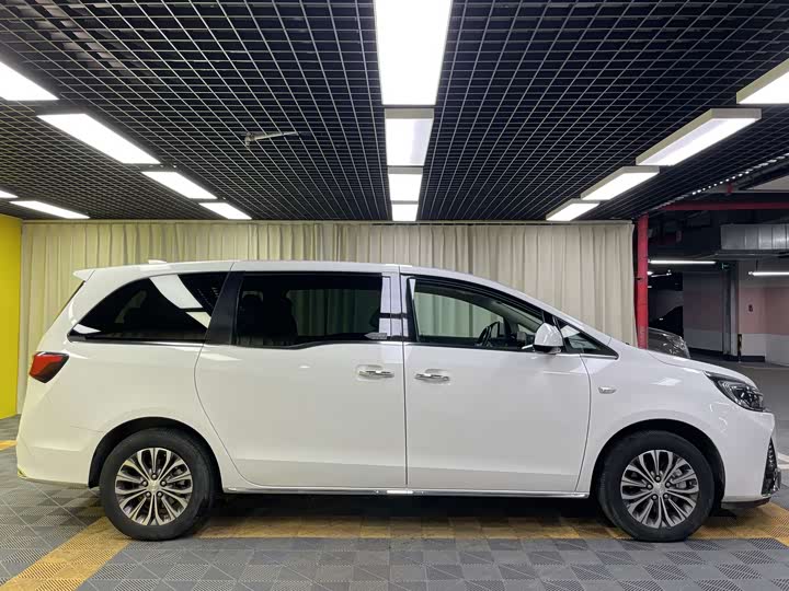 Фото 30 - Buick GL8 ES