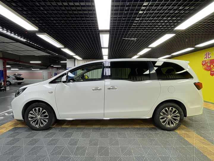 Фото 31 - Buick GL8 ES