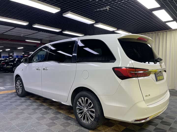 Фото 6 - Buick GL8 ES