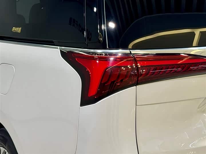 Фото 10 - Buick GL8 Century