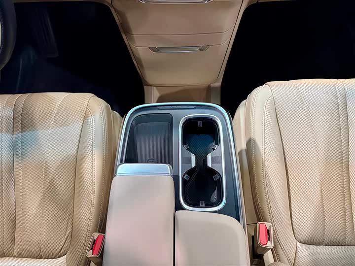 Фото 21 - Buick GL8 Century