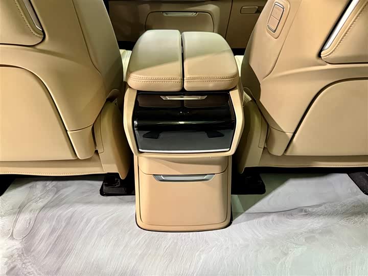 Фото 25 - Buick GL8 Century