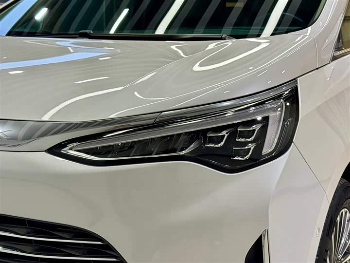 Фото 8 - Buick GL8 Century