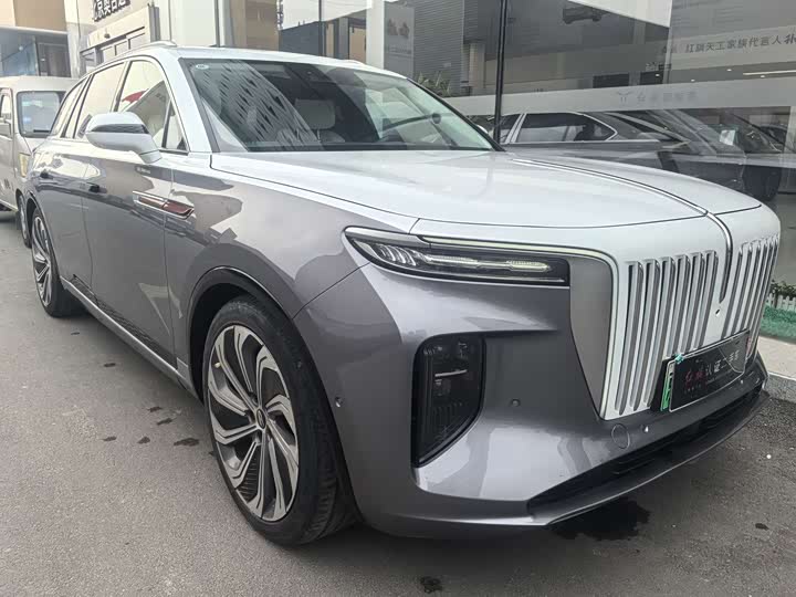 Фото 3 - Hongqi E-HS9