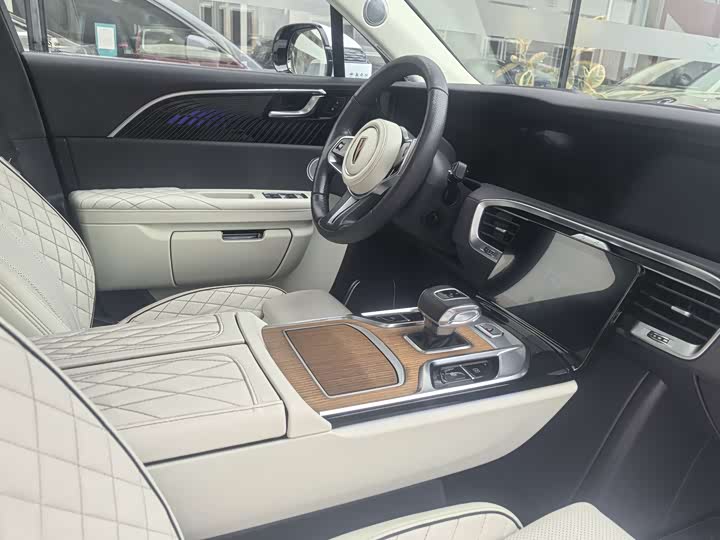 Фото 6 - Hongqi E-HS9