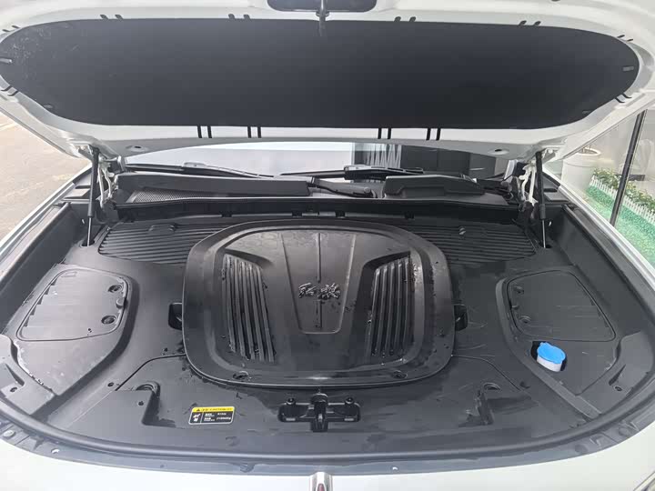 Фото 7 - Hongqi E-HS9