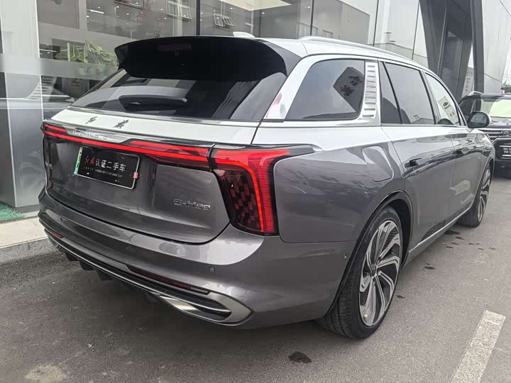 Фото 8 - Hongqi E-HS9