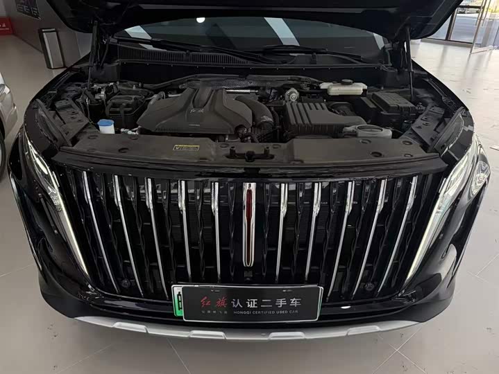 Фото 10 - Hongqi HS7 Hybrid