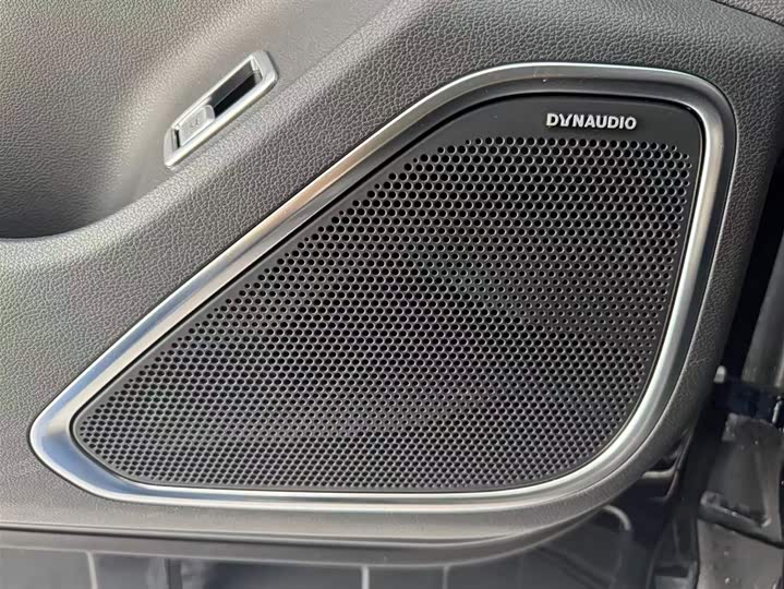 Фото 15 - Hongqi HS7 Hybrid