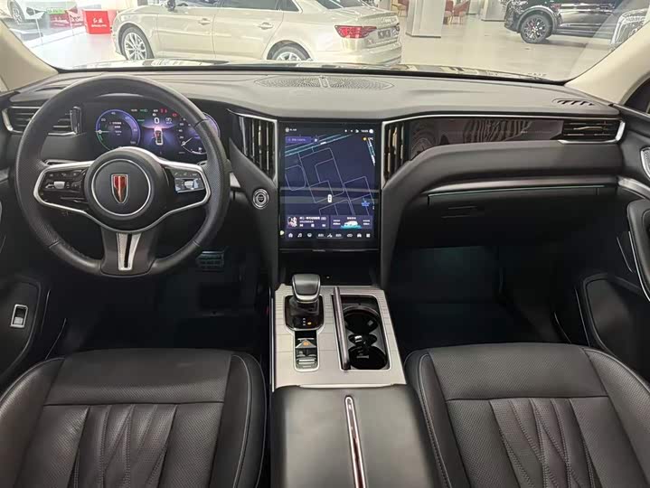 Фото 5 - Hongqi HS7 Hybrid