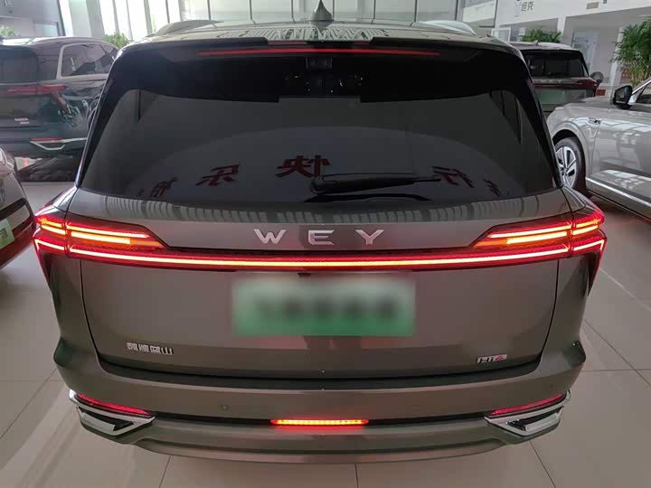 Фото 6 - Wey Lanshan