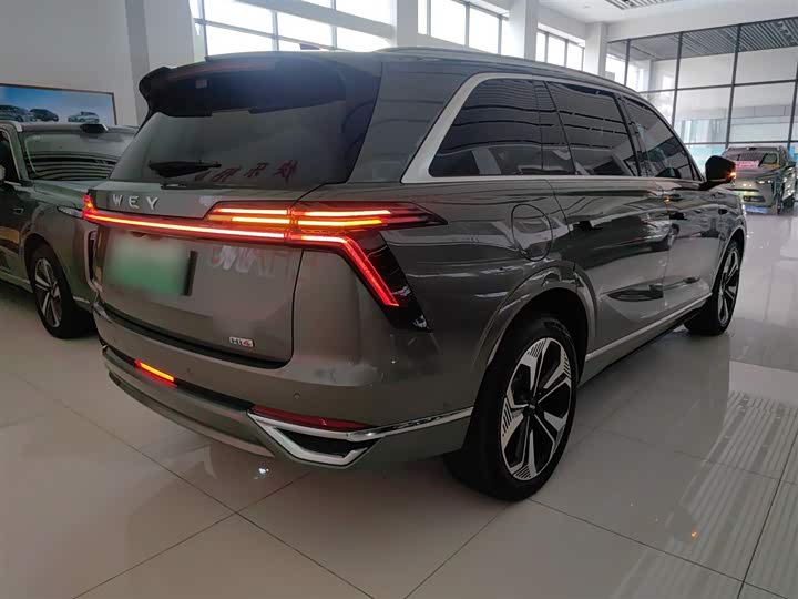 Фото 7 - Wey Lanshan