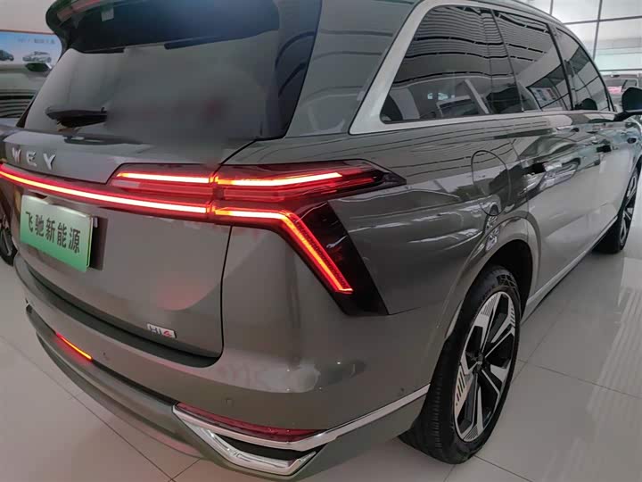 Фото 8 - Wey Lanshan