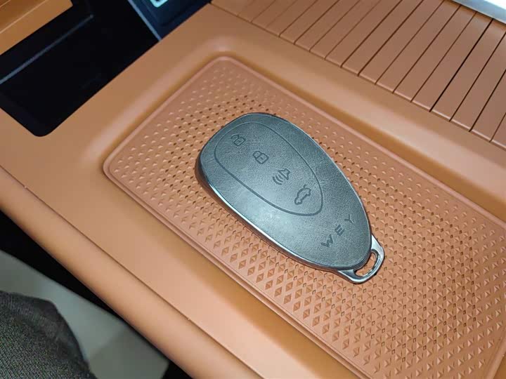 Фото 9 - Wey Lanshan