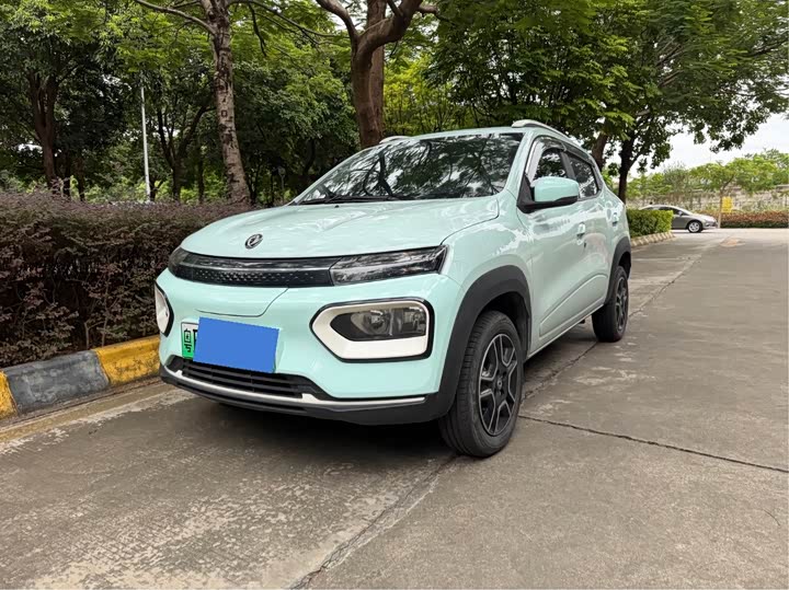 Фото 2 - Dongfeng Nammi Nano EX1
