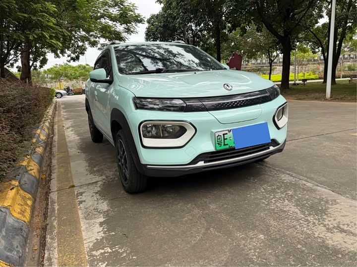 Фото 3 - Dongfeng Nammi Nano EX1