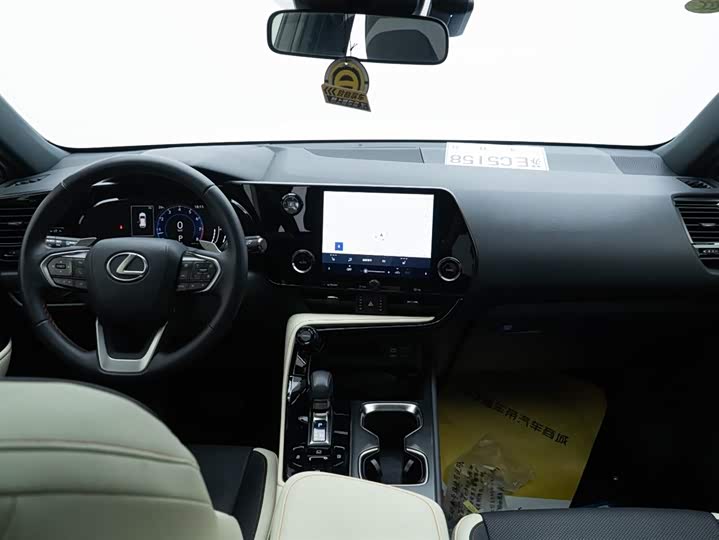 Фото 19 - Lexus NX