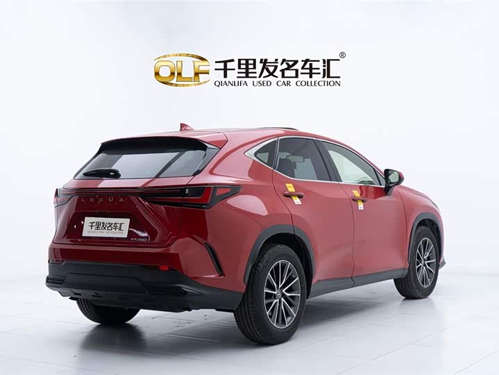 Фото 6 - Lexus NX