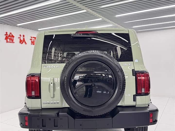 Фото 7 - Tank 300