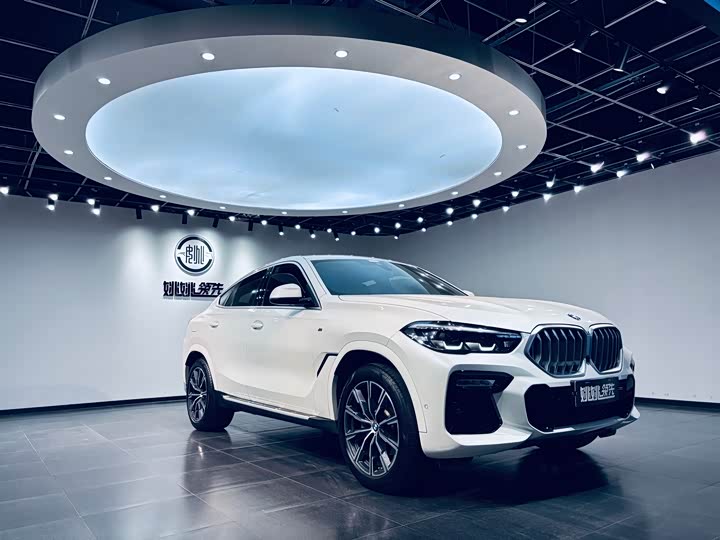 Фото 13 - BMW X6