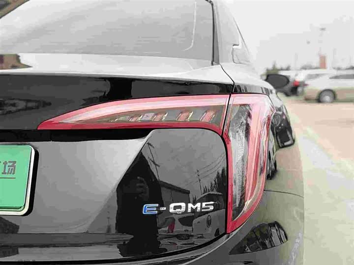 Фото 10 - Hongqi E-QM5