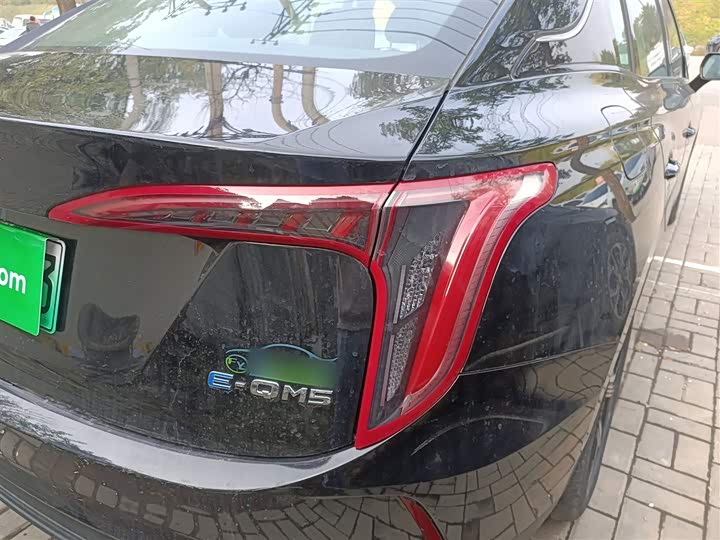 Фото 8 - Hongqi E-QM5