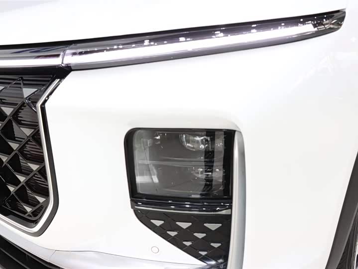 Фото 7 - Jetour Shanhai L9